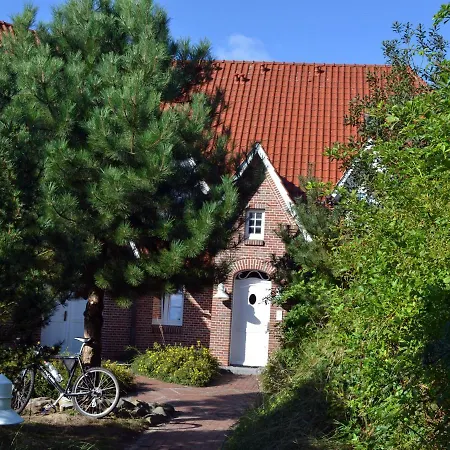 Ahndole-hollken *